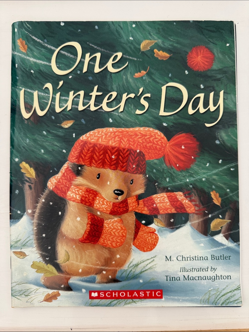 Scholastic One Winter's Day - Green & Orange Cover